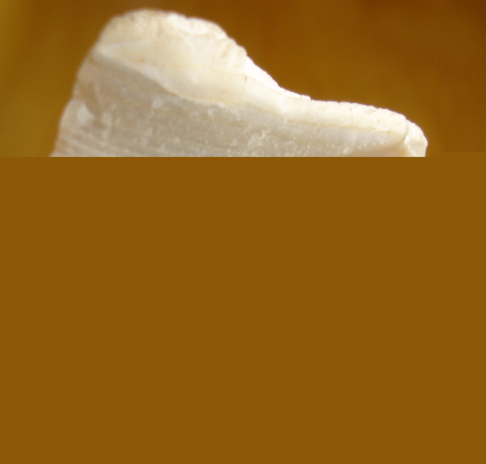 Agate Brute 40 x 35 x 20 mm